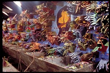 Francisco Alvarado-Juarez - Natura- Fr�gil