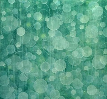 Jitka Anlaufov&aacute; -&nbsp;White Flower