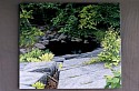 Janice Anthony, Dark Pool, Little Wilson
2003, acrylic on linen