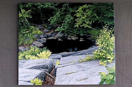 Janice Anthony
Dark Pool, Little Wilson, 2003
acrylic on linen, 24 x 28 inches