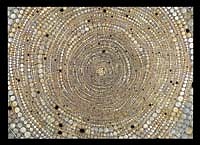 Andrea Way Biography