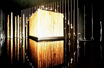 Carl Cheng -&nbsp;Water Project