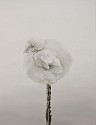 Eun Joung Cho, The Flower
2009, oil on canvas
