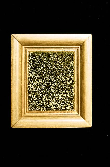 Kyoung Ae Cho
Pine Needles, 1994
an old frame, pine needles, 7 1/2 x 6 1/2 in.