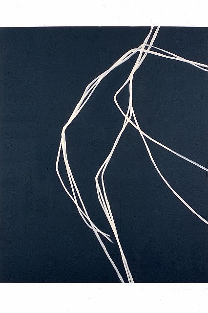 Alex Calinescu
no 3, 2005
charcoal and acrylic on canvas, 243.84 x 193.04 cm