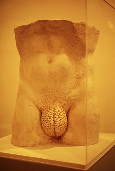 Yoan Capote - Racional