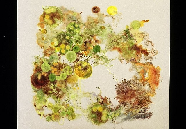 Jane Catlin
Coalesce, 2005
mixed media on mylar, 42 x 42 in. (106.7 x 106.7 cm)