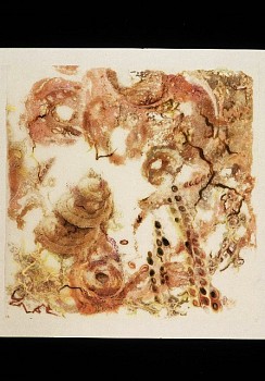 Jane Catlin - Confluence