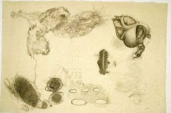 Jane Catlin - Silent Descent