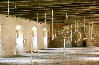 Charles Citron -&nbsp;The Secret Order of Things