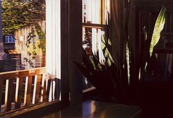 Rebecca Fagg -&nbsp;Late Afternoon View