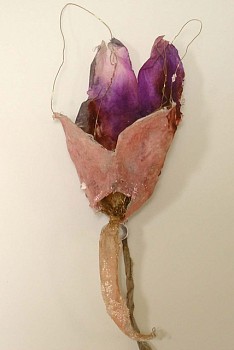 Susan Freda - Untitled