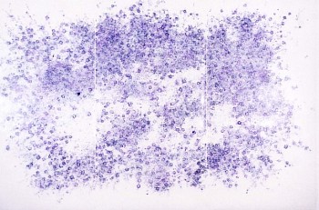 Nancy Friedemann -&nbsp;And of Course I Did it for Pleasure