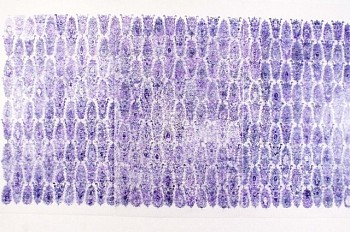 Nancy Friedemann -&nbsp;Byzantine Grid