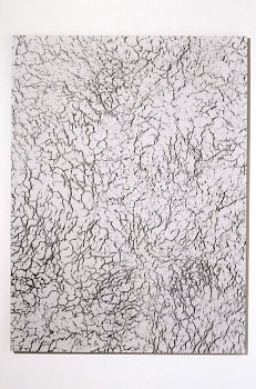 Gerald Giamportone - Untitled No. 22