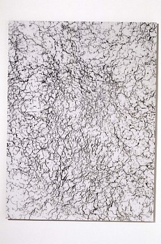 Gerald Giamportone - Untitled No. 24