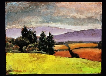 Michael Goodwin - Back Lawn