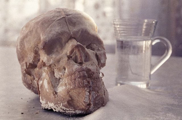 Jeff Gurecka
Vanita, 2003
anatomically correct cast skulls in bread, 9 x 6 x 6 in.