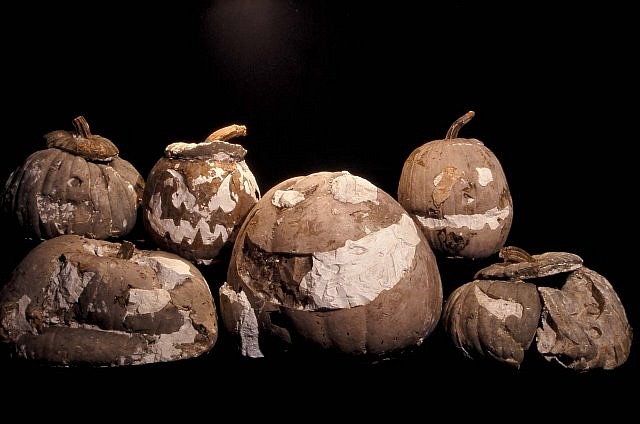 Jeff Gurecka
Brooklyn, 1999 to present
jack-o-lanterns found in Brooklyn, plastic, plaster, natural stems, dimensions variable