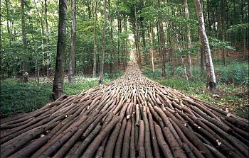 Mikael Hansen - Organic Highway