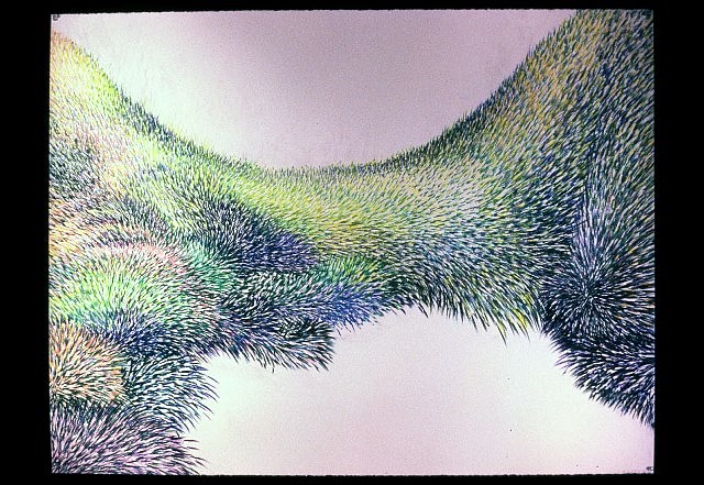 Cynthia Harper
Untitled, 2005
pastel on paper, 38 x 50 in.