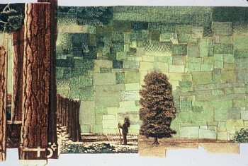 Jonathan Herder - Falling Branch (Detail)