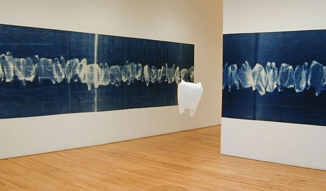 Robin Hill
100 Ft. of the Sweet Everyday, 2001
cyanotype on paper, helium balloons, polyethylene bags, 1200 x 60 in.
Installation at Lennon-Weinberg, Inc.