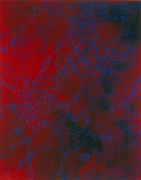 Carter Hodgkin
Hotzone, 2002
dye, oil enamel and acrylic on canvas, 48 x 60 in.