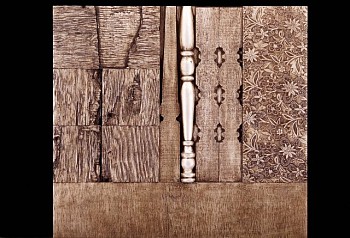 Sandria Hu - Veraruz Landscape