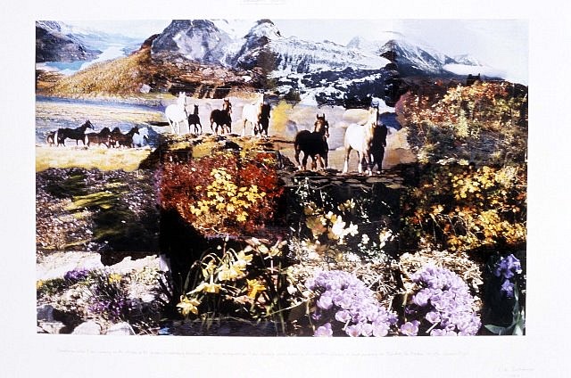 Peter Hutchinson
Remington's Garden, 1999
40 x 60 in.