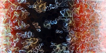 David Mann -&nbsp;Through and Through