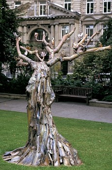 Philip Medley -&nbsp;Magnolia Soulangiana