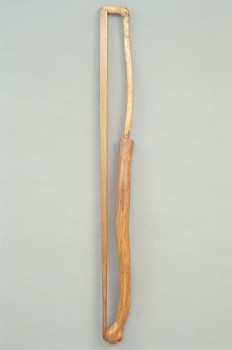 Ada Medina -&nbsp;Aegis