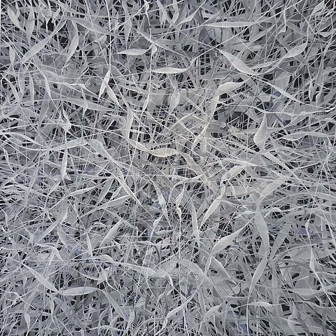 David B. Moore
Flight IV, 2007
oil on linen, 36 x 36 in.