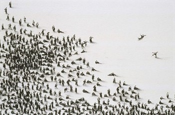 Dorota Mytych -&nbsp;Hypnotised - Detail