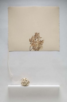 Beverly Ress - Leaves, Wound