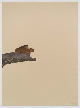 Beverly Ress - Bark