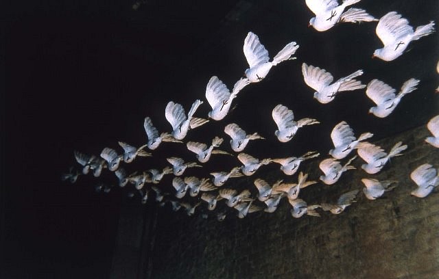 Dolly Unithan
Doves 1, 1999
life-like three dimensional synthetic doves, Each dove is approximately 12 x 12 inches; 100 doves suspended on netting display, 30 x 5 feet