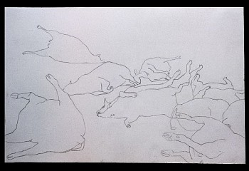 Mariana Varela -&nbsp;They Were Sacrificed