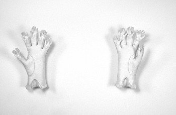 Claire Watson - Hosts