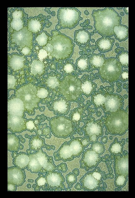 Andrea Way
Chalcedony, 2006
ink and acrylic on paper, 20 x 14 in.