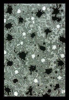 Andrea Way -&nbsp;Geode