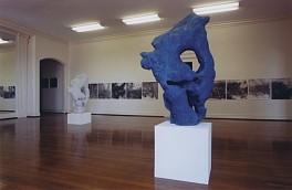 Jian-Jun Zhang Biography