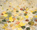 Jane Abrams, Duranes Pond
2006, oil on linen