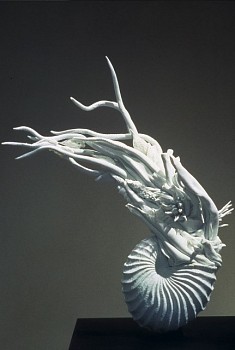 Kyoko Tokumaru -&nbsp;Cosmic Plant