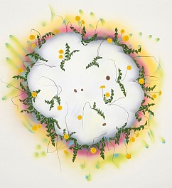 Amy Chan Biography