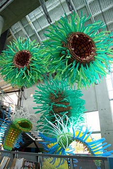 Jason Hackenwerth - Agartha