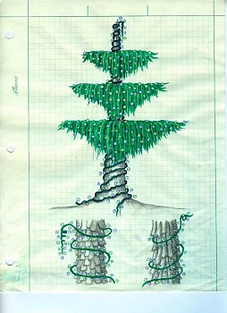 Mel Watkin -&nbsp;Trunk Show; Draped