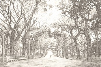 Jennifer Celio -&nbsp;Untitled (surveillance)