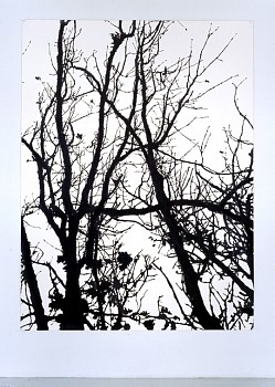 Meghan Gerety - Eventide